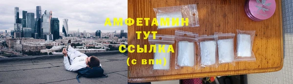 прущая мука Арсеньев