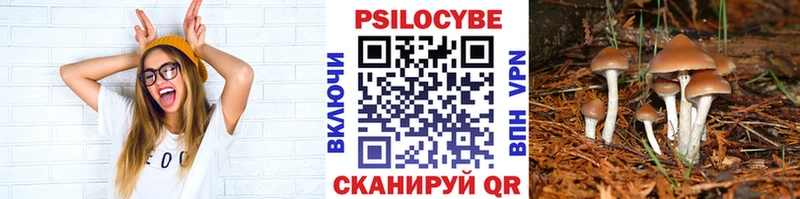 сайты даркнета телеграм  Устюжна  Галлюциногенные грибы ЛСД 