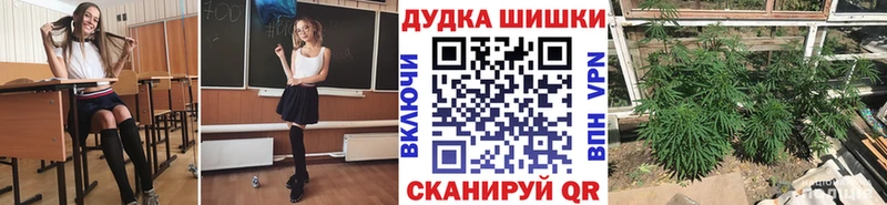 Конопля Amnesia  наркотики  Устюжна 